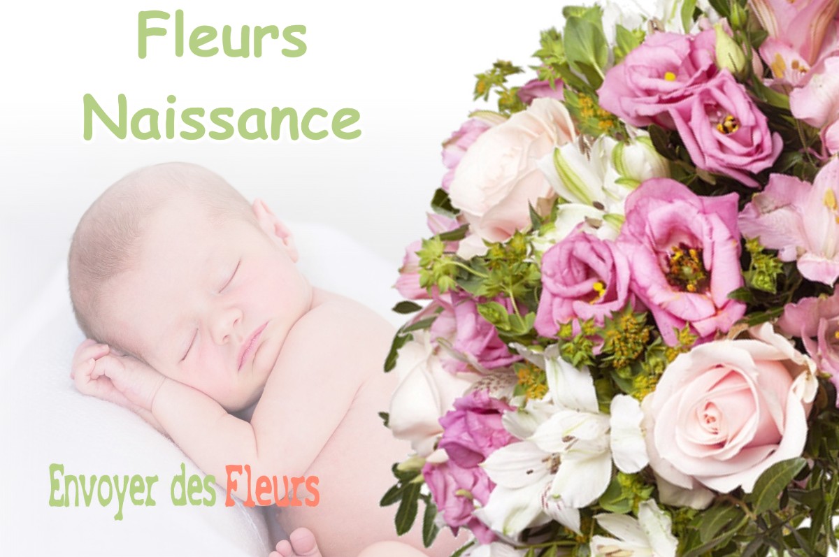 lIVRAISON FLEURS NAISSANCE à SAUBENS